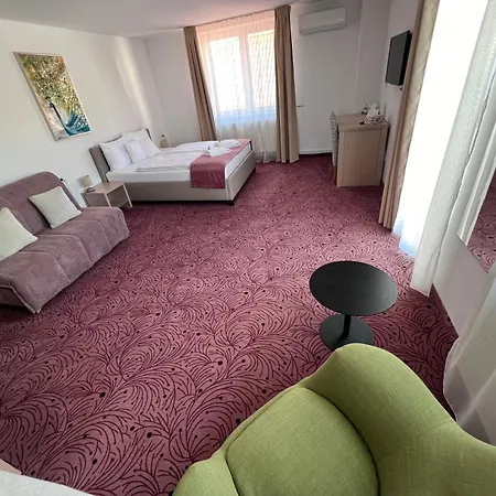 Guest house Pensiunea Simar