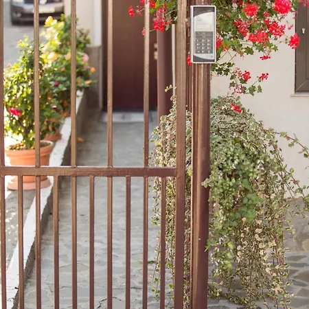 Pensiunea Simar Guest house